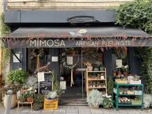 Fleuriste à Bordeaux Mimosa fleuriste